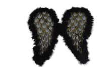 Alas angel con brillo y pluma negra